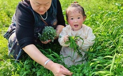 精品一卡2卡三卡4卡乱码免费